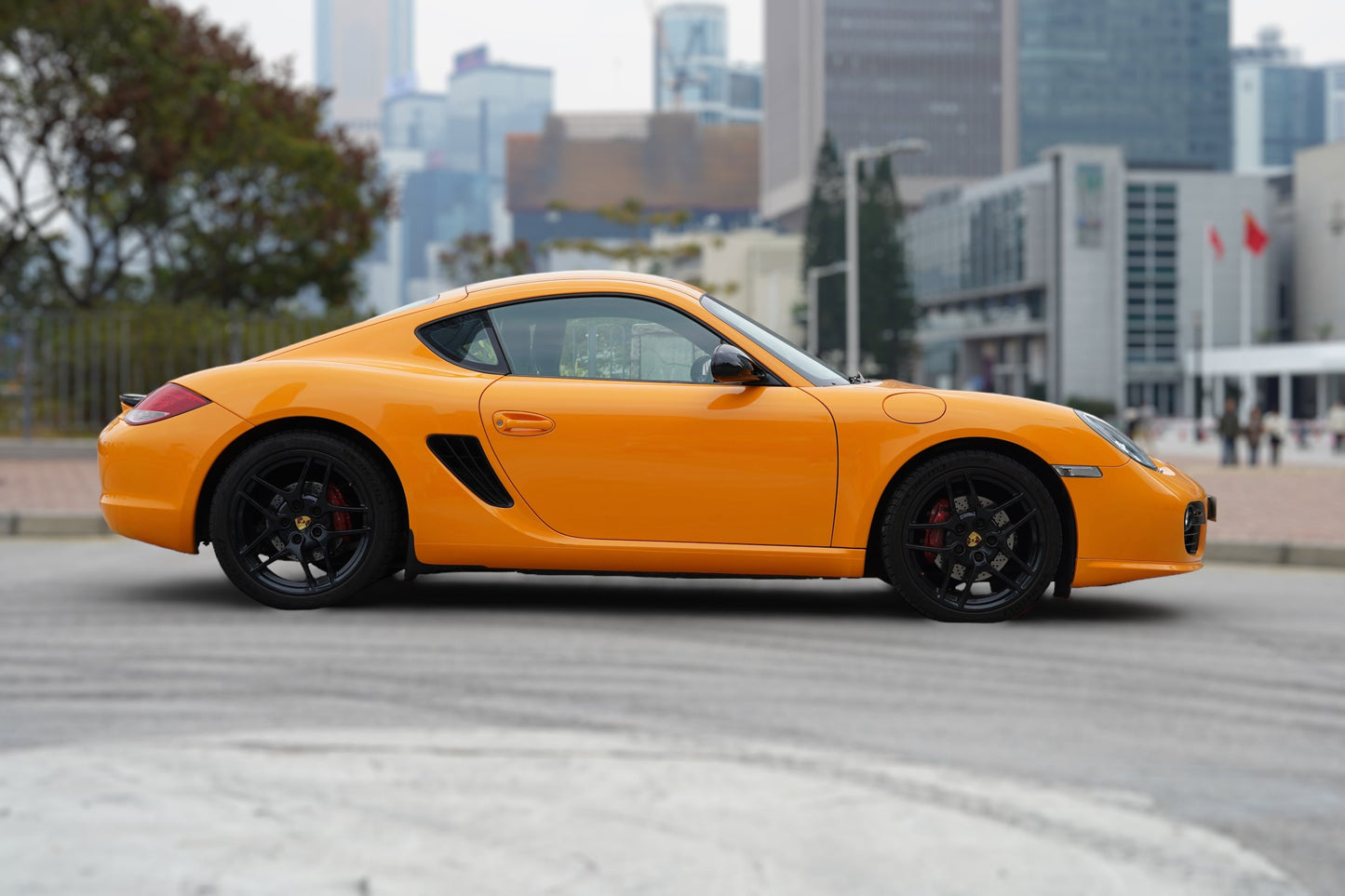 2010 Porsche Cayman S (987.2)