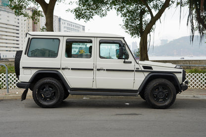 2010 Mercedes-Benz G300 CDI