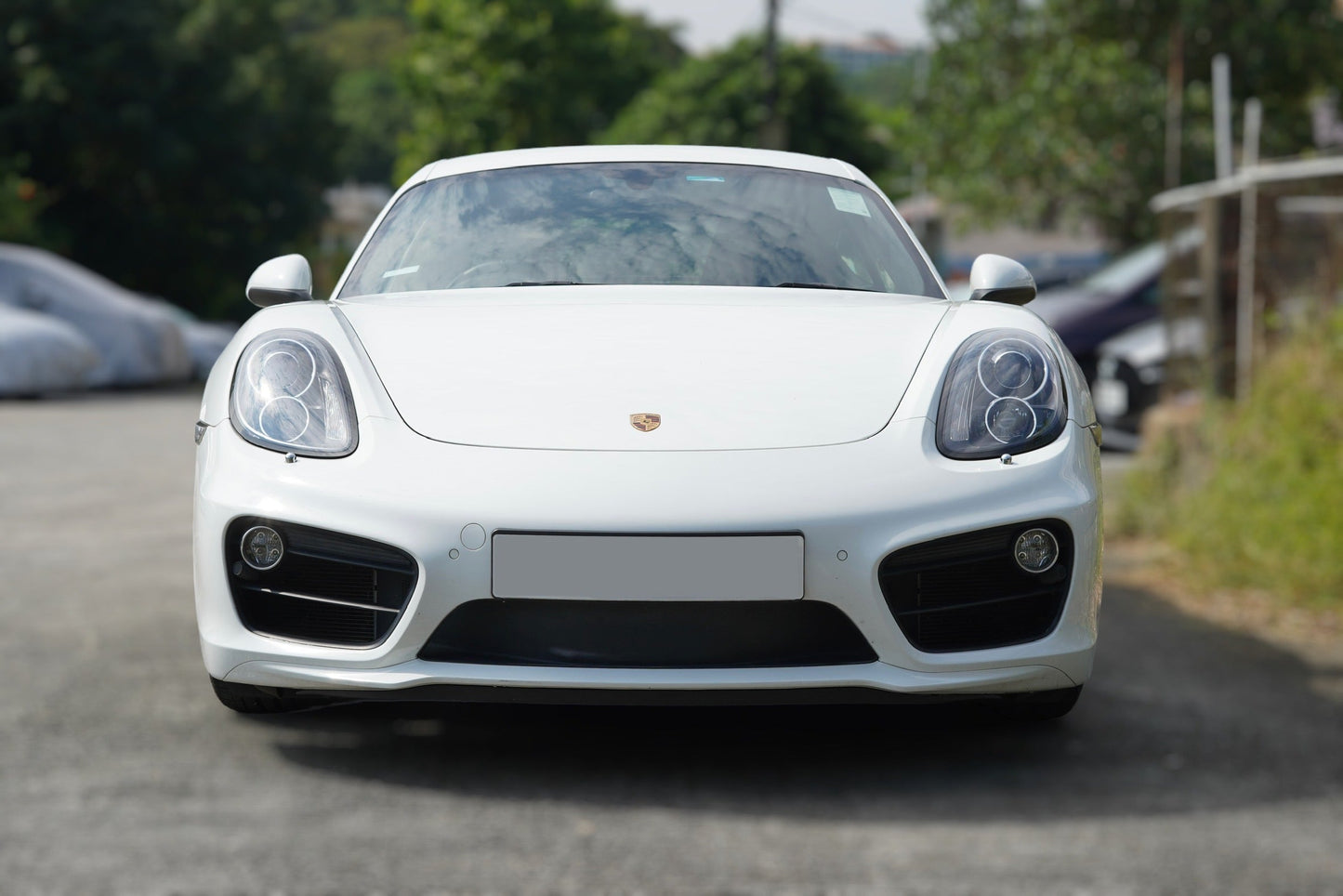 2013 Porsche Cayman S (981)